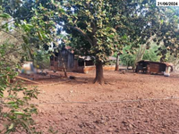 Terreno rural 1,2 ha com benfeitorias em Cachoeira Dourada/GO