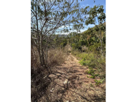 Fazenda com 145,48 hectares em Minaçu/GO