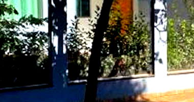 Casa Ocupada com 242m² de Terreno em Formosa do Oeste/PR