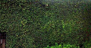 Terreno em Barretos/SP - Oportunidade Única