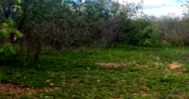 Lote residencial desocupado com 2121.6 m² de terreno