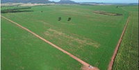 Fazenda Maracanã Rural com 159HA em Sidrolândia/MS
