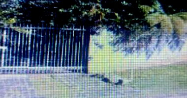 Terreno 490m² com casa em Barreirinha