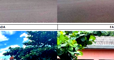 Imóvel em Cafelândia/PR - Oportunidade Única!