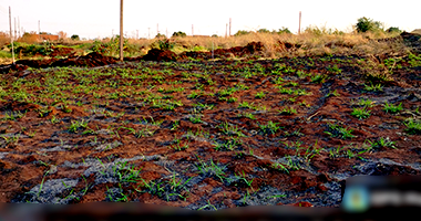 Terreno 276m² em Nova Alvorada do Sul