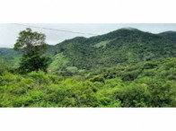 Chácara com 6,40 hectares em Mulungu/CE - Excelente para investimento