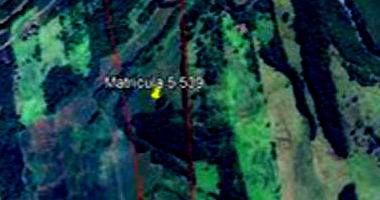 Imóvel Rural de 31,46 hectares na Colônia Cantu - Desocupado