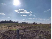 Terreno Rural de 8ha em Guarapuava/PR - Massa Falida Madeirit
