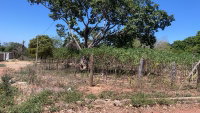 Terreno Urbano Amplo com Potencial de Construção