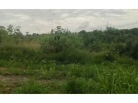 Terreno em leilão com 270m² em Itapetininga/SP