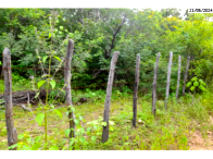 Sítio Rural com 75,83 Hectares em Icó/CE