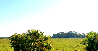 Terreno de 24.606m² em Capixaba/AC