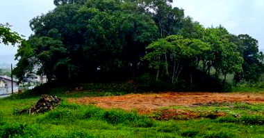 Terreno Urbano amplo com 3.255m² no Bairro Bortoluzzi, Nova Veneza