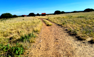 Sítio rural com 70 hectares e edificações, desocupado