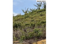 Instalações industriais com 28,5ha em Santa Maria de Jetibá/ES