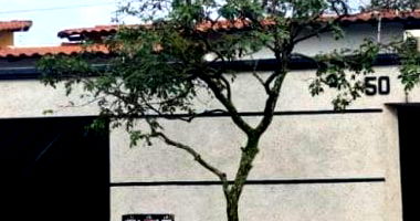 Casa espaçosa com 4 quartos, 3 banheiros e 206 m² construída, ideal para famílias