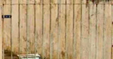 Casa Ocupada em Boqueirão com 40,97m²