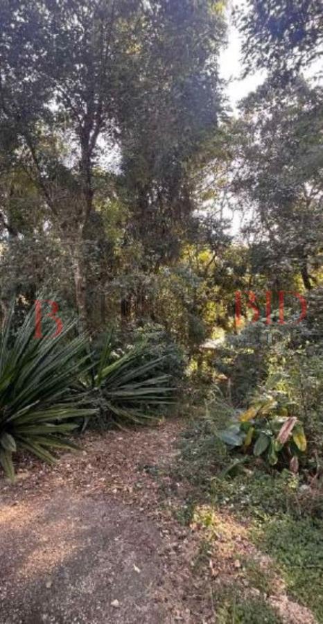 Terreno de 1.300m² em Mairiporã e com vegetação alta