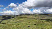 Fazenda Canteiros - 111,39 ha em São João Batista do Glória