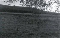 Terreno Rural 10 hectares Porto Vera Cruz/RS - Leilão Judicial