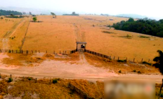 Fazenda com 105,81ha, dupla aptidão para pecuária e agricultura