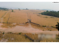 Fazenda com 105,81ha, dupla aptidão para pecuária e agricultura