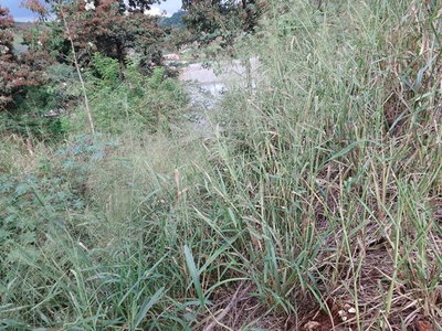 Terreno em Jardim Perobal - 250m² - Londrina/PR