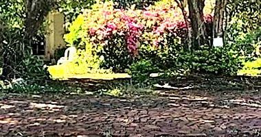 Lote Rural com 400m² em Realeza/PR