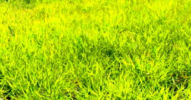 Terreno de 250m² no Loteamento Golden Park II