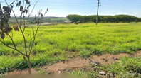 Terreno de 250m² no Loteamento Golden Park II