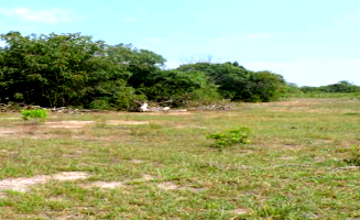 Fazenda com 108,53 hectares com vegetação nativa e topografia plana