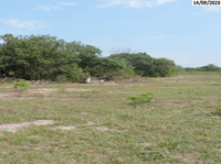 Fazenda com 108,53 hectares com vegetação nativa e topografia plana