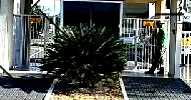 Apartamento com 2 quartos em Campo Largo/PR