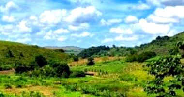 Área Rural de 60 hectares em Amaraji/PE