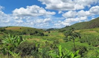 Área Rural de 60 hectares em Amaraji/PE