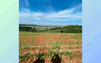 Área Rural 20.000m² — Investimento com 45% de Desconto