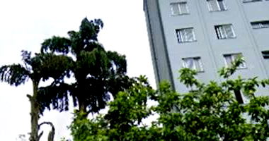 Apartamento no Edifício Yellow - 1 Vaga - Ocupado