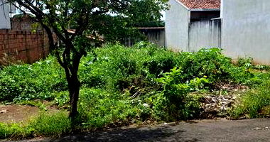 Terreno com 202m² em Mirassol/SP