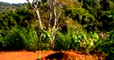 Terreno Urbano com 993,58m² em Dois Vizinhos - PR