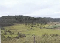 Terreno Rural 70.000m² Porto Vera Cruz/RS - Oportunidade Única!