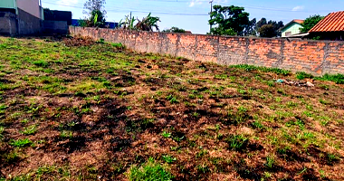 Terreno em Ponta Grossa - PR com 449,85m²