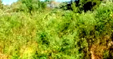 Terreno amplo em Aldeinha, Itapecerica da Serra - Desocupado
