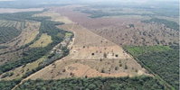 Imóvel Rural com 54 Ha para Pecuária em Poxoréu/MT
