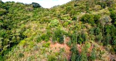 Imóvel Rural com Área Total de 11,0255 hectares