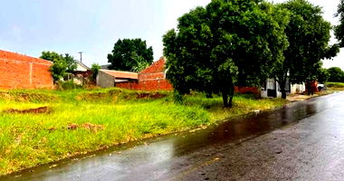 Terreno Urbano Desocupado em Parque Irani - 257,50 m²
