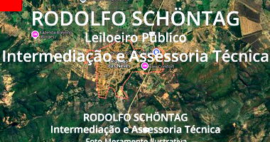 Fazenda Rural com 686,7 hectares em ótimo estado