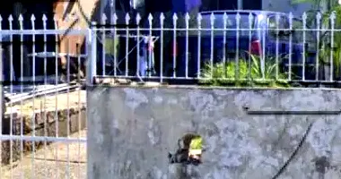 Casa com Terreno de 200m² no Bairro Bela Vista em Alvorada/RS