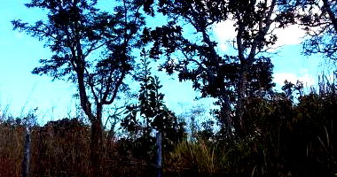 Terreno com Direitos Possessórios em Brasília