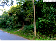 Sítio amplo com 31,77 hectares, área rural preservada