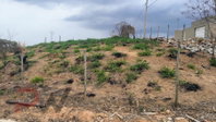 Terreno em Crucilândia - MG com 406,69 m²